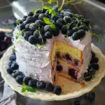 Blueberry Yogurt Chiffon Cake