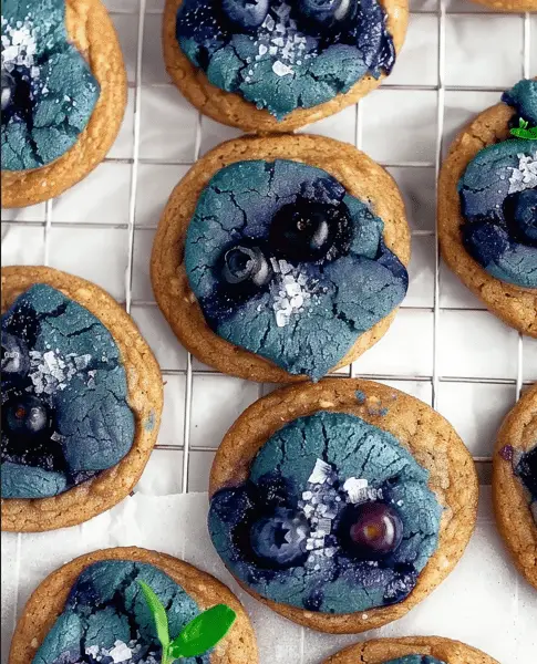 Blueberry Oddish Cookies