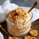 Easy Biscoff Overnight Oats Recipe