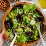 Simple Green Salad Recipe 6 Simple Green Salad Recipe
