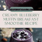 Blueberry Muffin Breakfast Smoothie Recipe