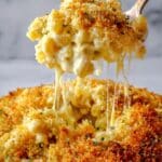 The BEST Homemade Baked Mac and Cheese Recipe