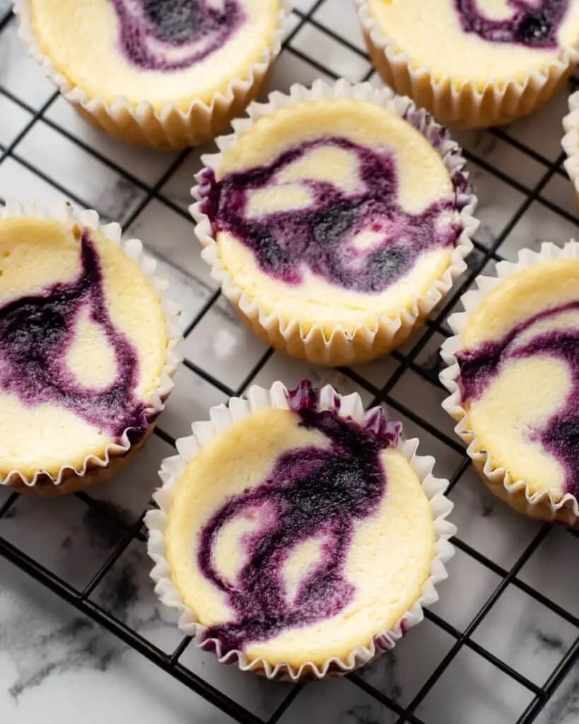 Mini Blueberry Cheesecakes Recipe