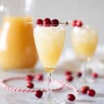 Refreshing Mai Tai Cocktail Recipe